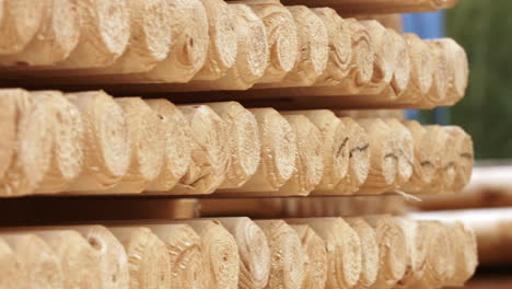 piles of wooden logs in storage shelves. round wooden sticks in warehouse