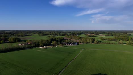 farmers house with stable and barn in american countryside. blue sky with sunlight in spring. green farm fields and forest trees. aerial wide shot. landing shot. peacful and quiet suburbia.