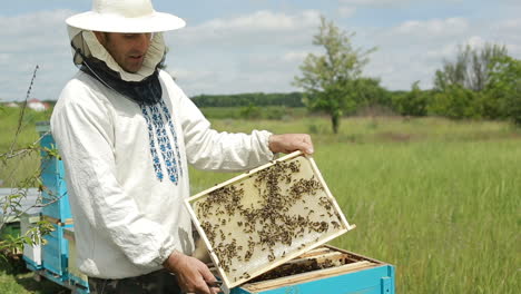 a beekeeper at apiary among hives. a beekeeper at apiary among hives with honeycomb in hand