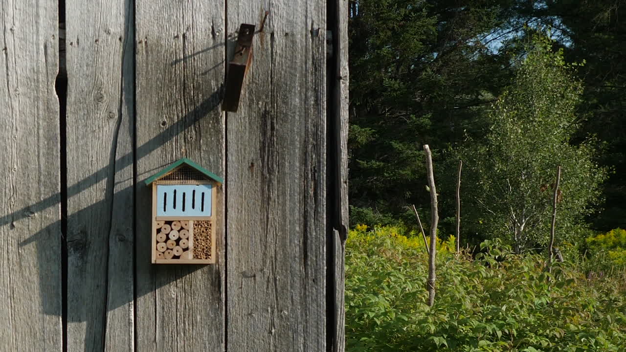 Wooden insect habitat on old barn