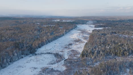 panorama aéreo de líneas eléctricas de alto voltaje en un bosque de invierno