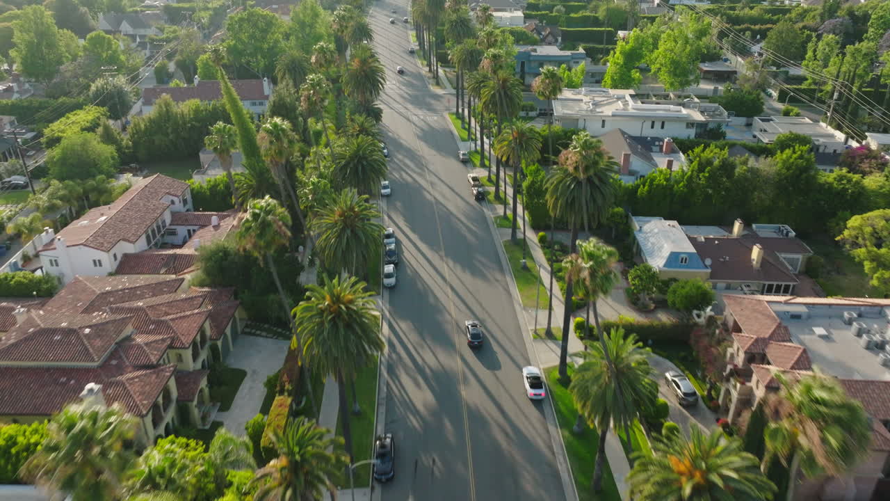 Ripresa aerea che segue un'auto su una strada di Beverly Hills fiancheggiata da palme in una soleggiata giornata californiana