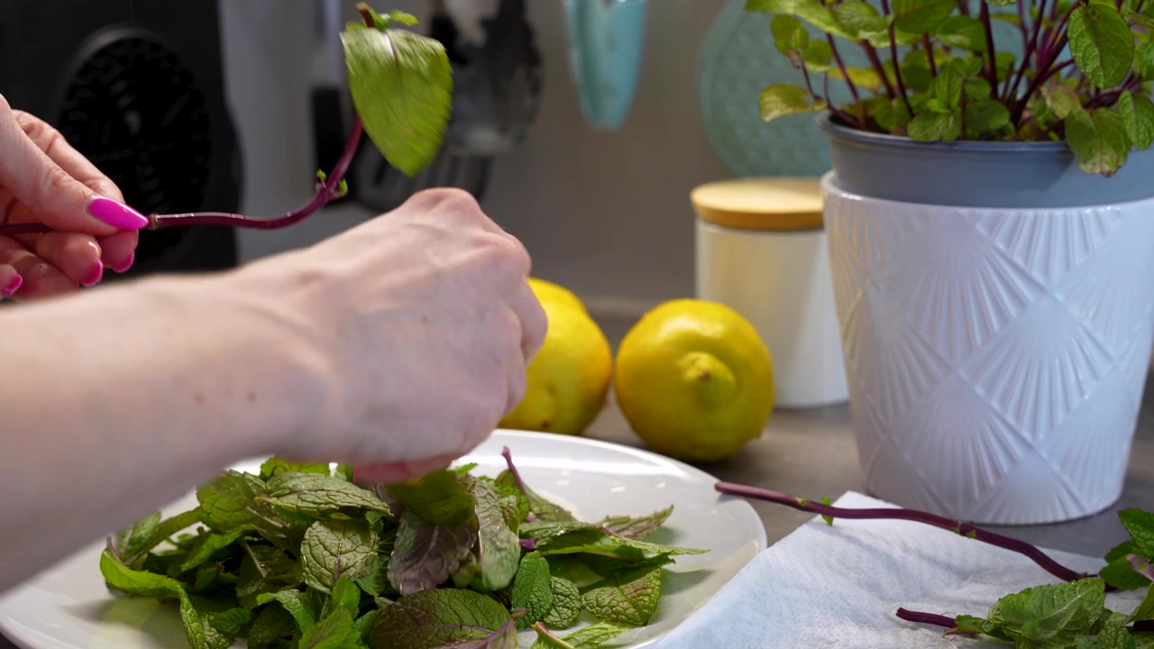 Primo piano di mani femminili che raccolgono con cura foglie di menta fresca da un gambo su un piatto bianco. Autentica scena di cucina per il benessere e la preparazione di bevande salutari.