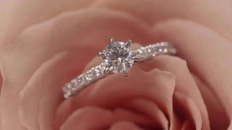 anillo de compromiso incrustado en diamante sentado en un pétalos de rosa, de cerca