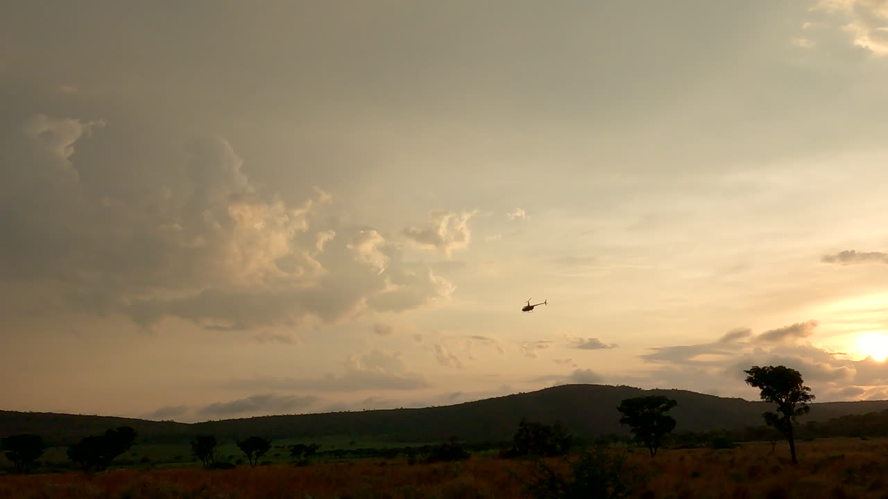 Helikopter flyver sidelæns ved solopgang over et naturreservat under en luftbåren vildttælling