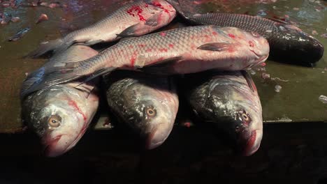 fresh and raw rohu fishes being sold at a street market in the jadu babu bazaar area of kolkata, west bengal, india