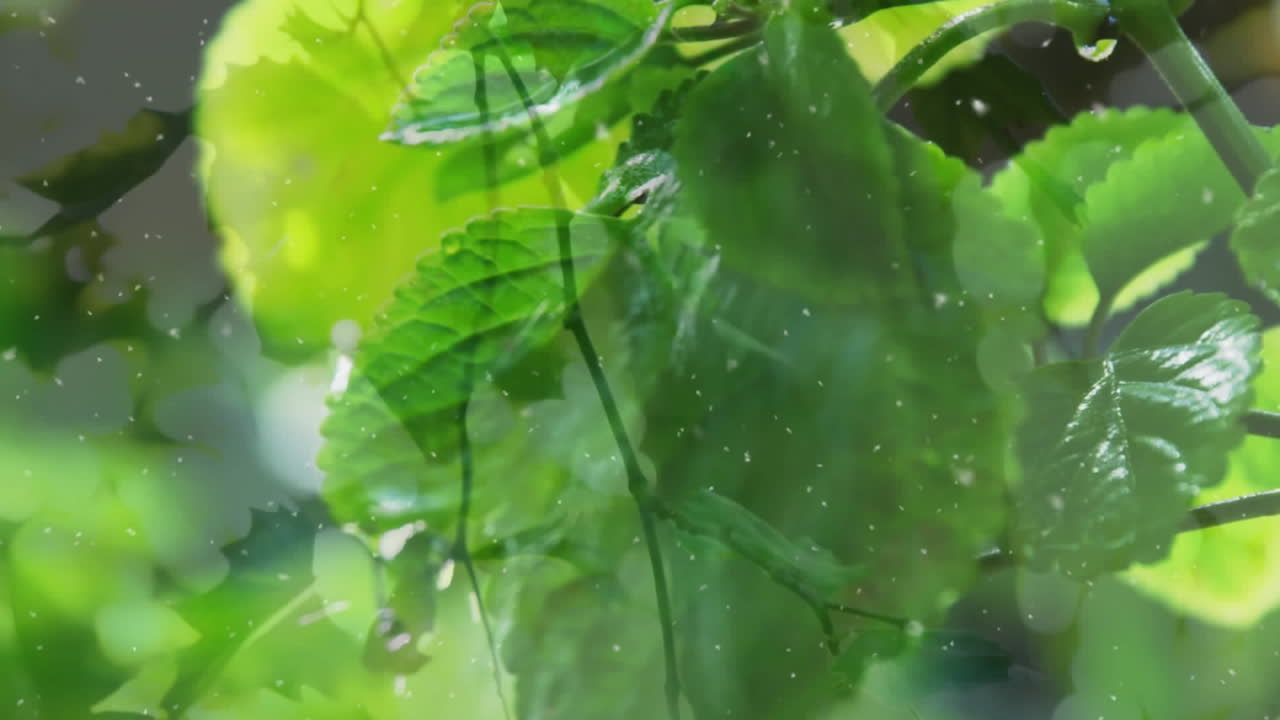 animación de nieve cayendo sobre hojas y agua.