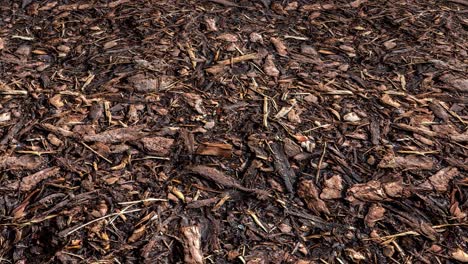 an aerial view over a forest floor full of decomposing wood-chips and tree bark mulch - seamless looping