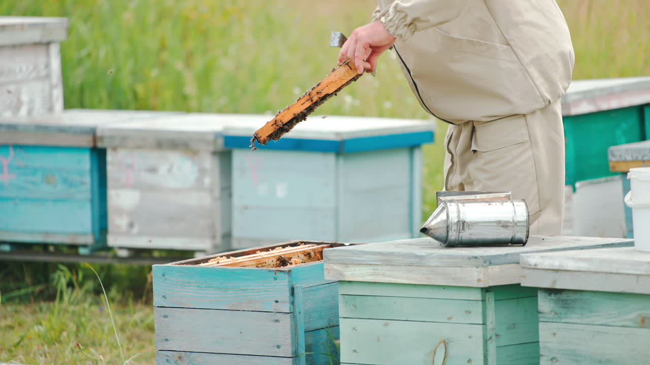 Bee farmer pulls the frame coated with bees out of hive. Man looks intently at the frame. Blurred background.