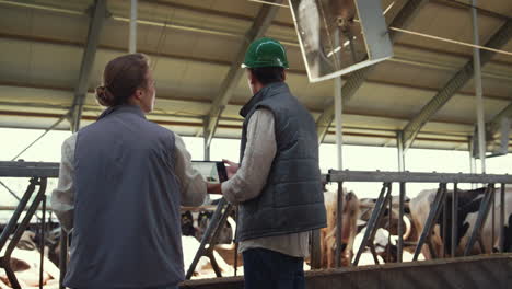 lavoratori di stalla che parlano insieme di allevamenti di animali. gestori agricoli al lavoro.