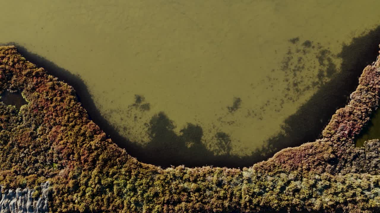 Top-down aerial view of serene natural scenery in France. Lush forests, gentle hills evoke a sense of well-being. Ideal for nature, travel, or wellness themes.