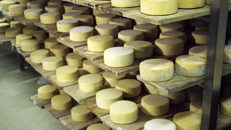 tilt up shot of cheeses in winery