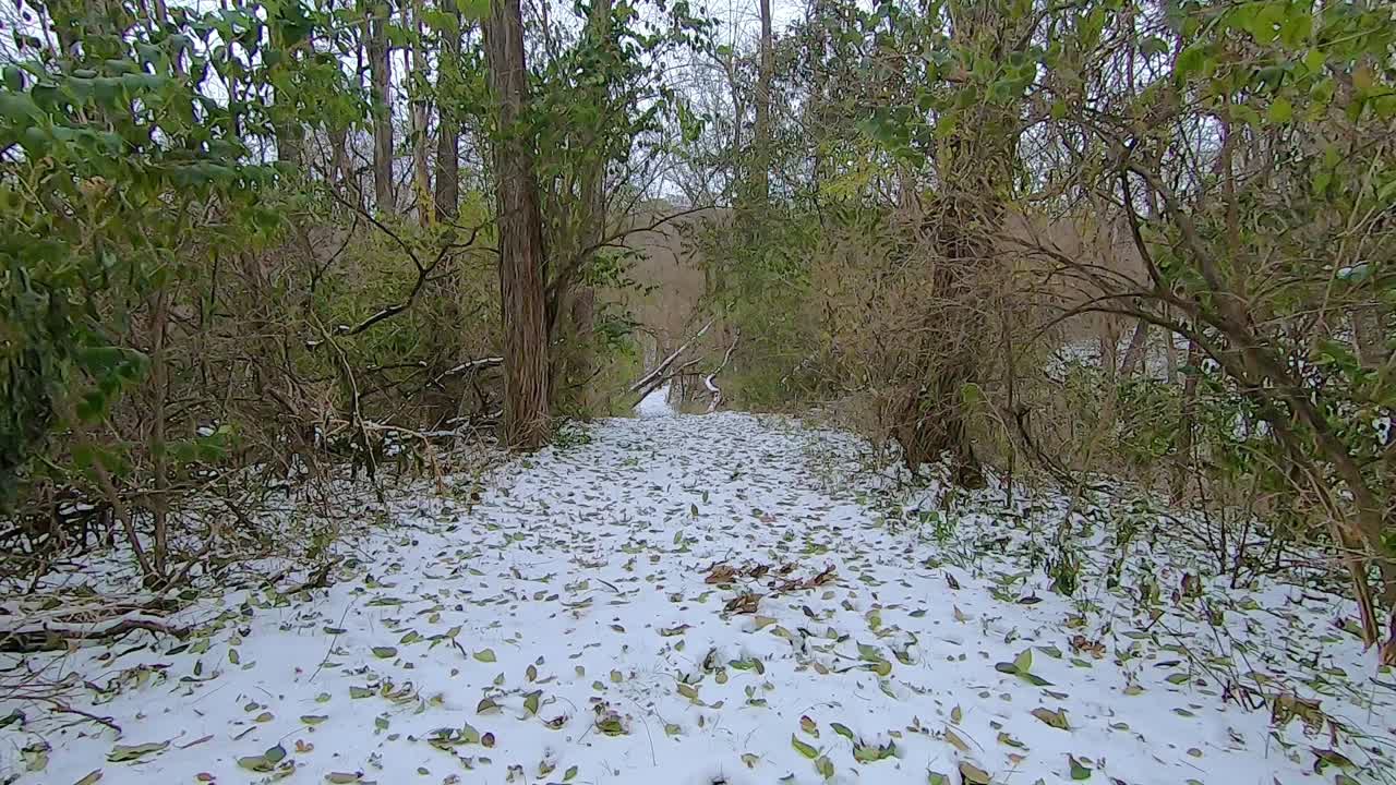 кадр с передней части внедорожника atv во время движения по заснеженной тропе вдоль линии забора через лес зимним днем