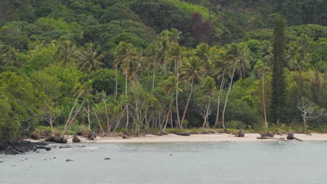aneityum, la isla más meridional de vanuatu, vecina de la isla misteriosa de vanuatu