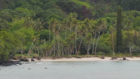 aneityum,southernmost island of vanuatu,neighboring the mystery island,vanuatu