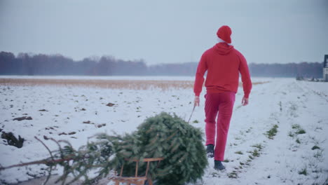 man pulling christmas tree on snow covered landscape