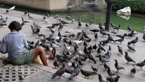 individual seated amidst numerous pigeons in flight