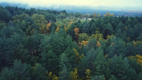 Building-surrounded-by-autumn-forest