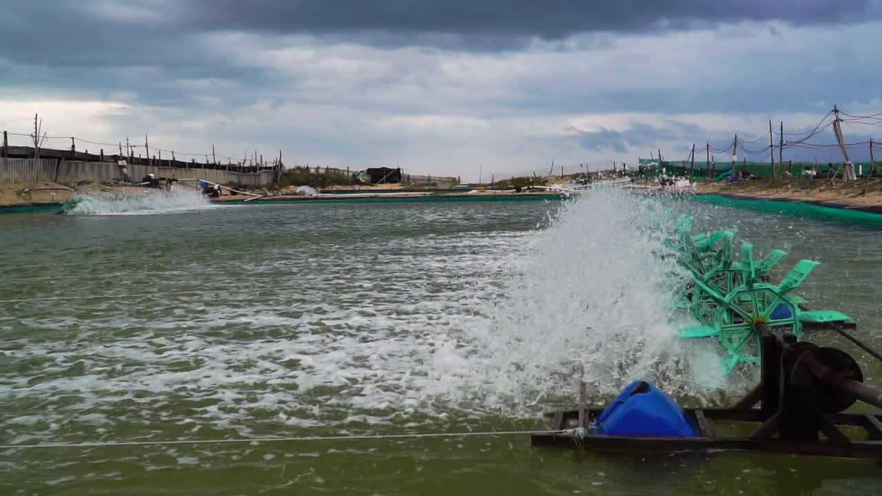 베트남 손하이에 있는 새우 농장 연못에서 회전하는 에어레이터