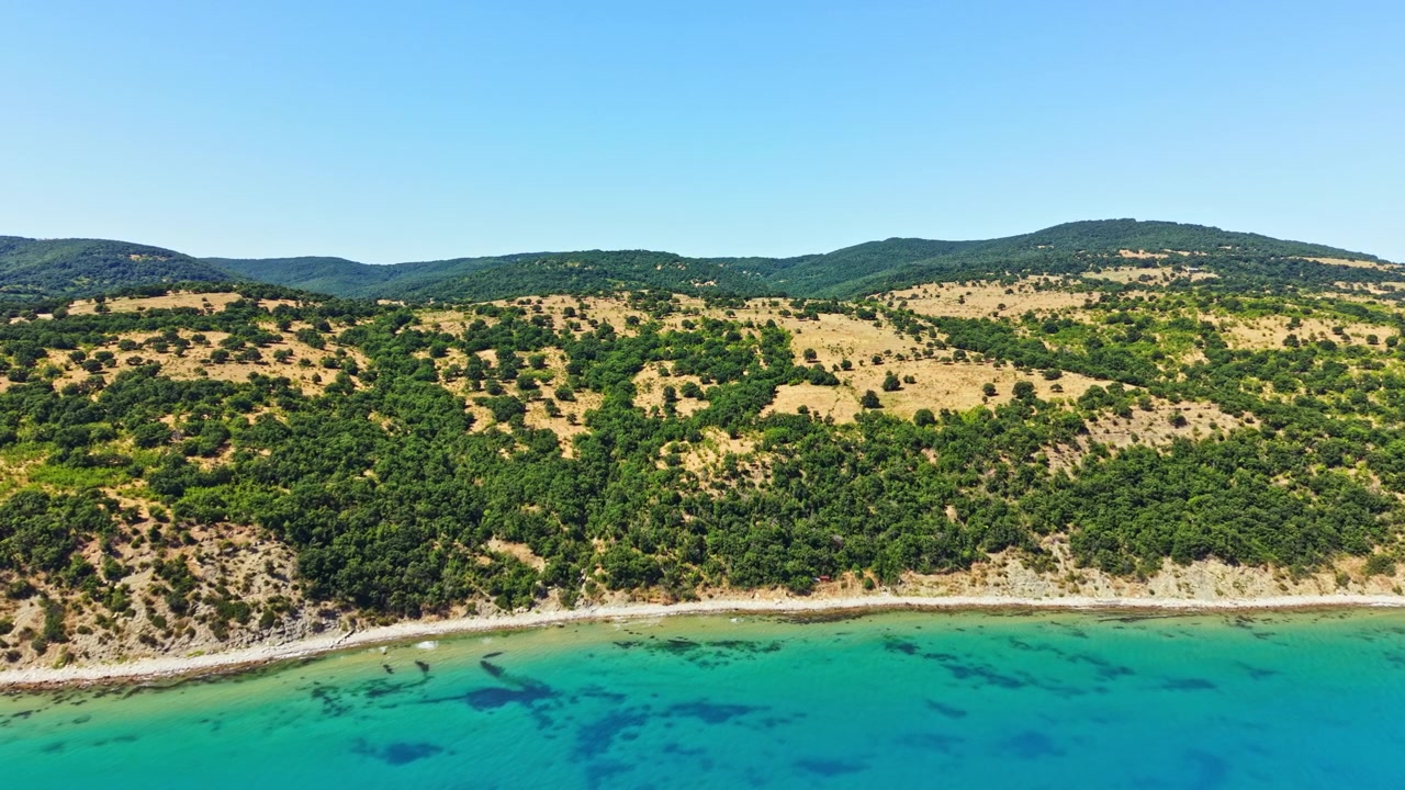 Panoramica costiera di un versante verde che degrada verso l'acqua azzurra in una giornata di sole, in un ambiente naturale.