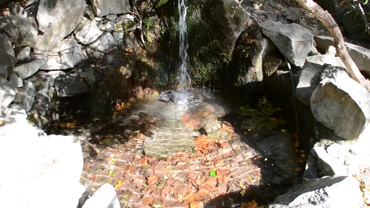 Falls