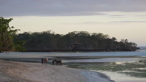 Manejadores-Con-Sus-Caballos-En-Playa-Tropical-Con-Marea-Baja-En-Fiji-Durante-La-Puesta-De-Sol