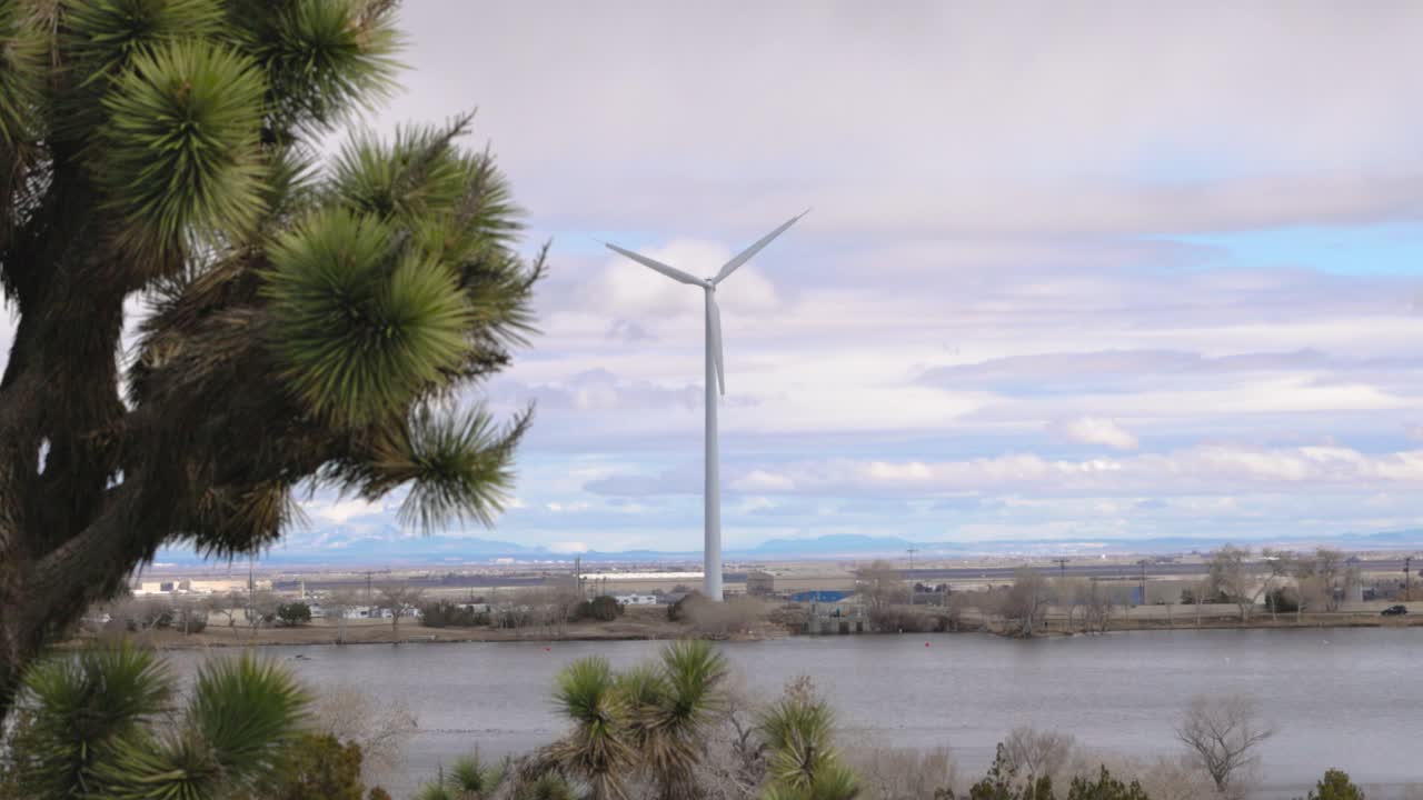 windmill on a blue sky day on lake palmdale in california with a joshua tree in the foreground