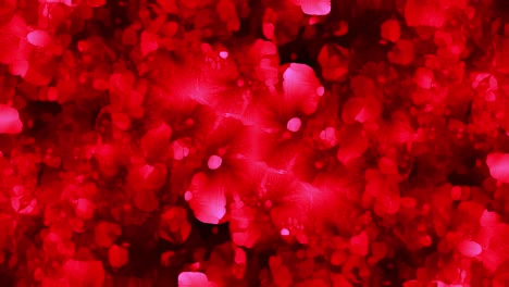 red visuals. abstract kaleidoscope like animation
