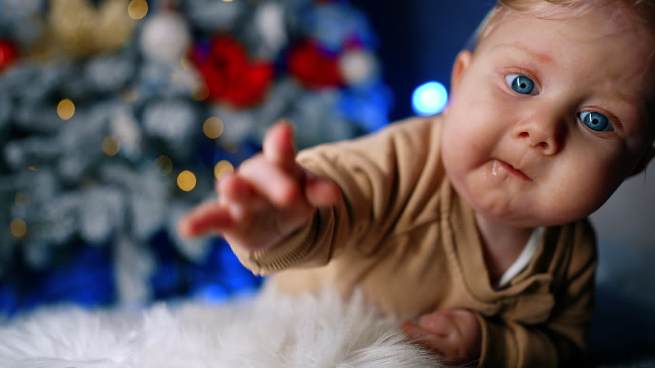 Curious blond baby boy with plump cheeks and blue eyes lies on his belly on the soft plaid. Cute child approaches the camera. Christmas tree at backdrop.