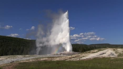 viejo géiser fiel entra en erupción en el parque nacional de yellowstone 1