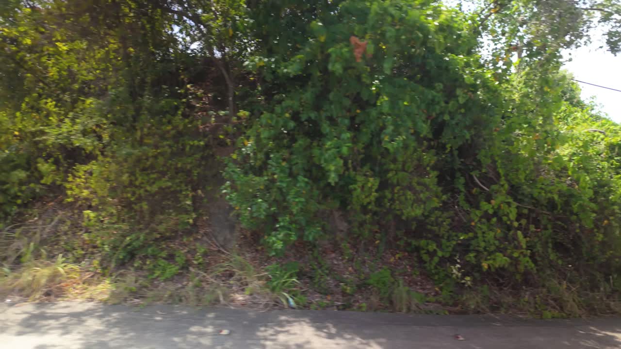 Riding a POV shot down a tropical road surrounded by lush green hills and trees