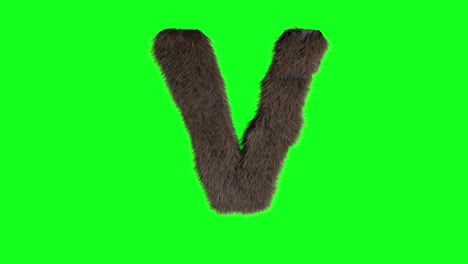 Abstract-hairy-letter-V-sign-fluffy-furry