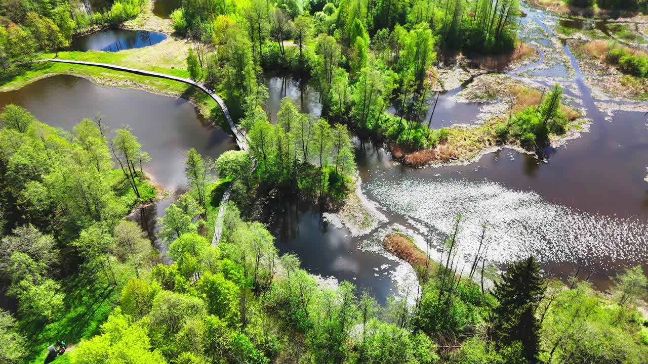 Biržai Regional Park, Lithuania - Winding Bridges Encircle the Shimmering Karst Lake Waters and Lush Green Landscape - Orbit Drone Shot