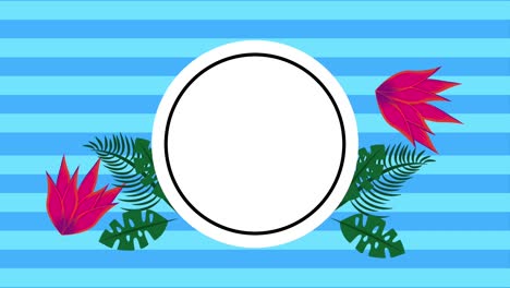 summer tropical template