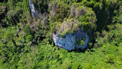 naturaleza intacta tierra inaccesible naturaleza selva montañas