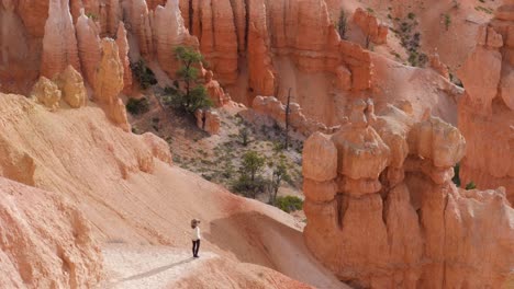 turista en sendero mirando hoodoos en el parque nacional bryce canyon en utah, ee.uu.