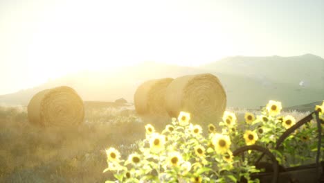 Balas-De-Heno-En-La-Puesta-Del-Sol