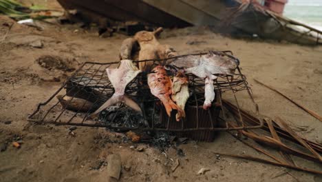 local cooking fish on a grill over an open fire on the beach in tobago, west indies