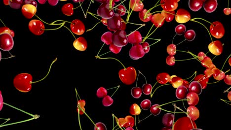 falling cherries background, loop,  60fps, with alpha channel