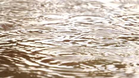 raining on a cement floor