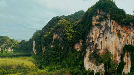 amazing aerial view of karst mountains and lush jungle