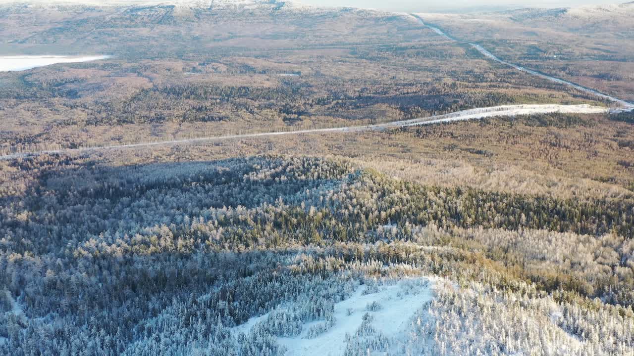 зимний горный лес с снегом и дорогой