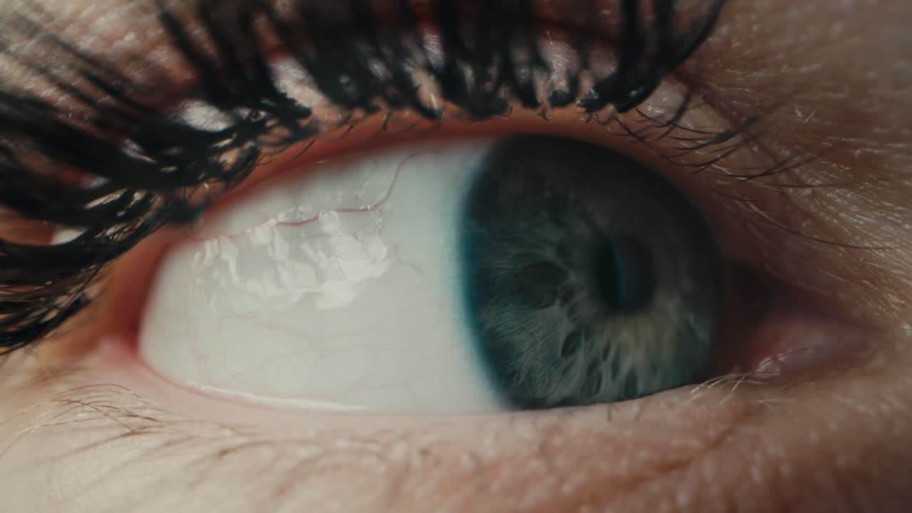 Female Blue Eye With Long Eyelash Extension