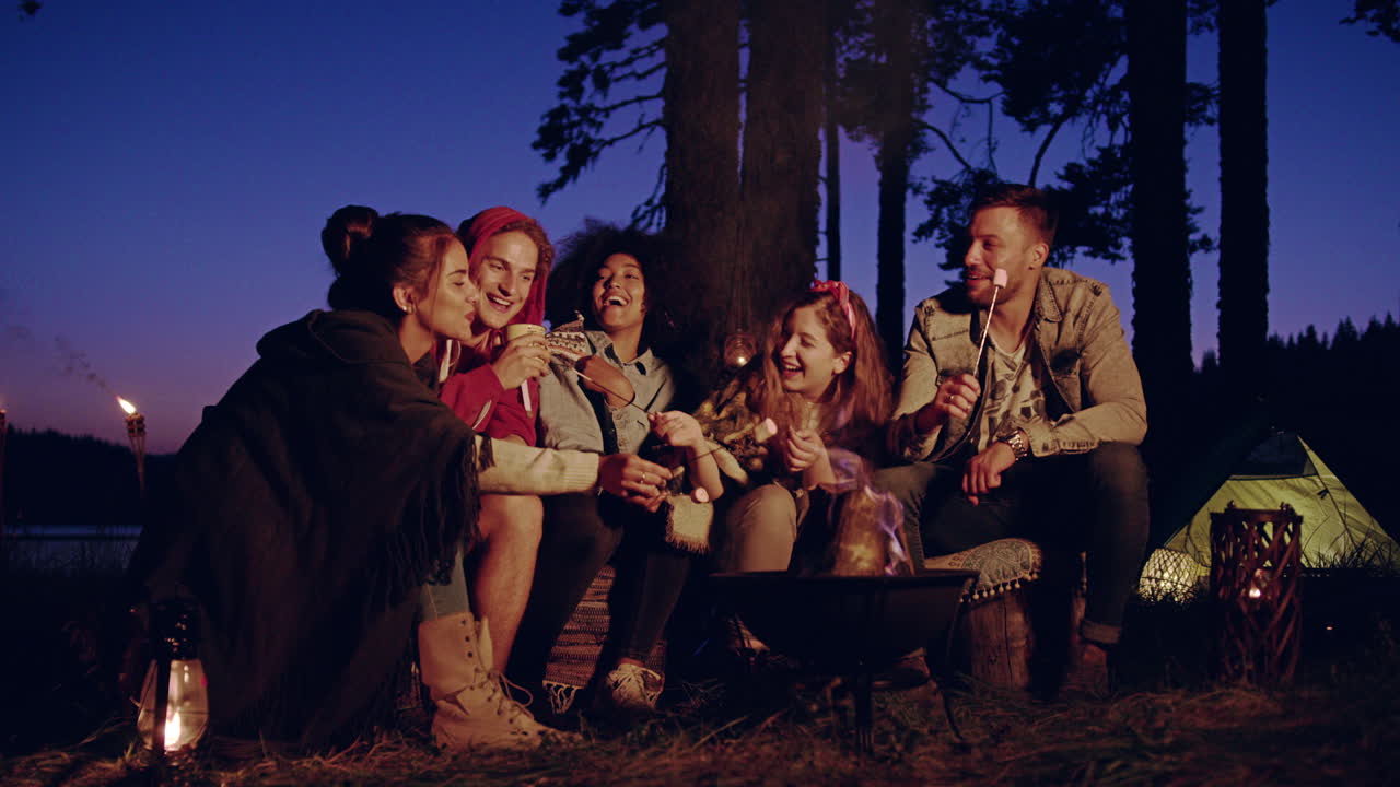 친구들이 캠프 불 아래 밤을 즐기고 있습니다.