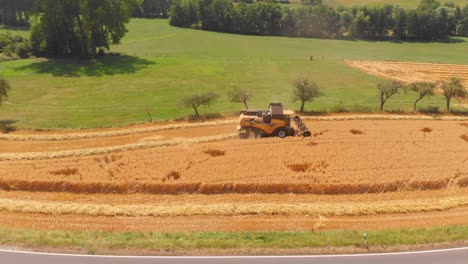 tractor harvesting golden ripe barley fields