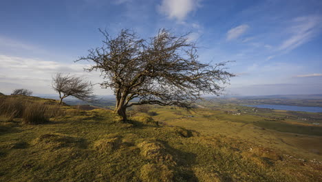 lapso de tiempo del paisaje rural y remoto de hierba, árboles y rocas durante el día en las colinas de carrowkeel en el condado de sligo, irlanda