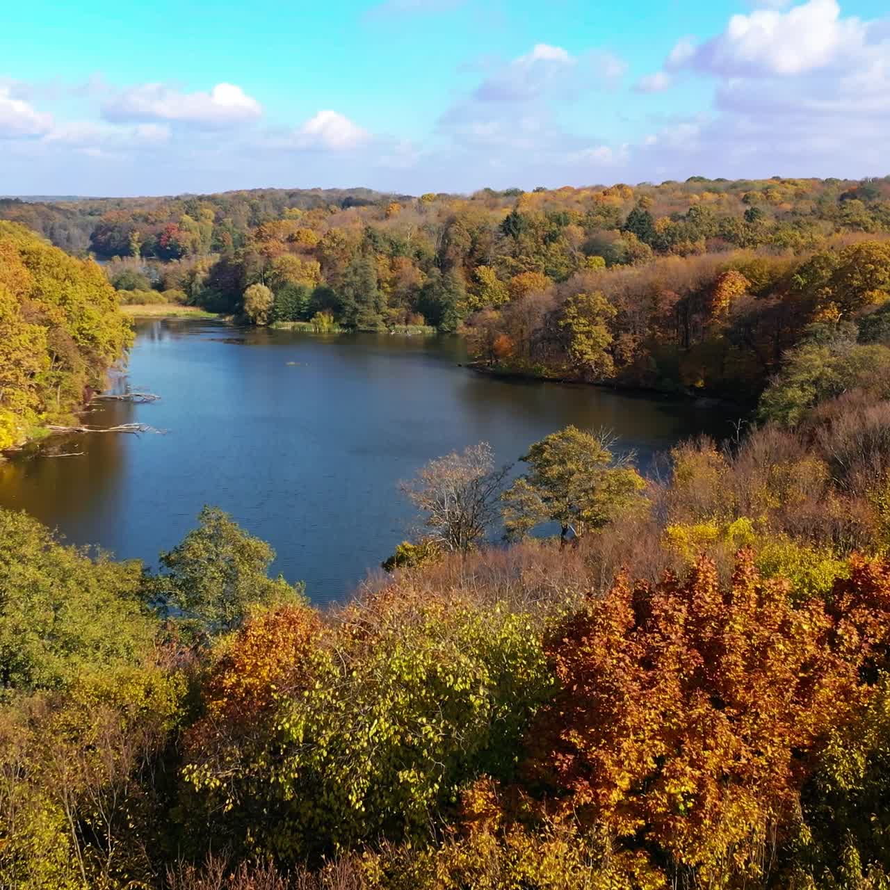 Forest river autumn season aerial view. Fall landscape colorful sceneries