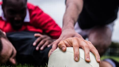 animation of diverse male rugby players playing at stadium