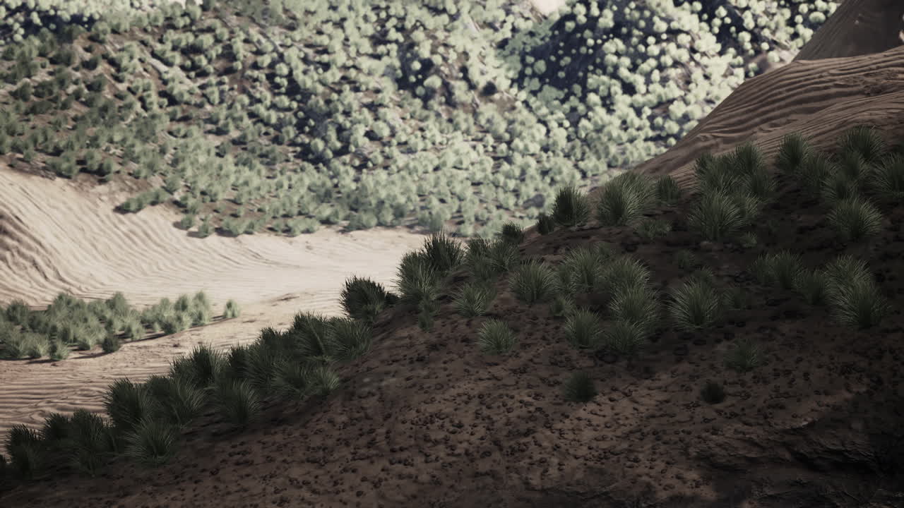 arbusto en el semi-desierto gran desierto