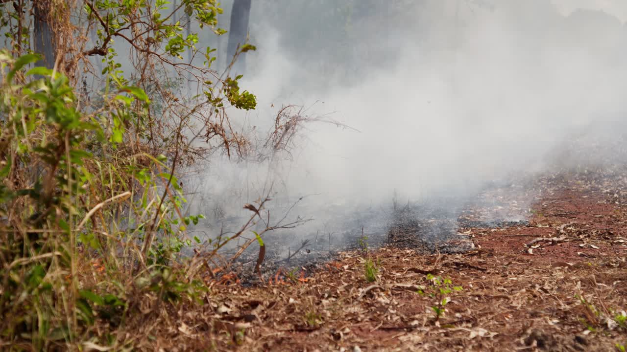 incendios forestales en el interior de australia